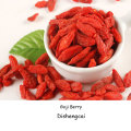 Baya de Goji de frutos secos orgánicos de Mongolia Interior